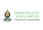 Brain-Field-Oil and Gas Ltd